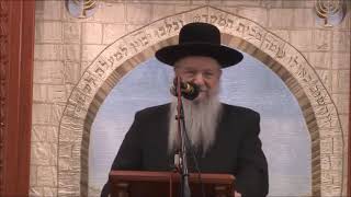 הרב הלל - רקע על הרב מרדכי אליהו ודבקותו בגדולי הדור הקודם || ש"י ✔