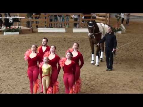 Pferd International 2014 - Ingelsberg I