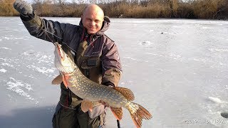 Купит зимний костюм для рыбалки графф