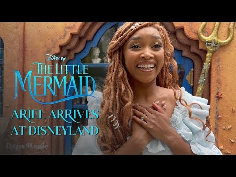 Ariel (The Little Mermaid 2023) Arrives at Disneyland First Day First Set 4K