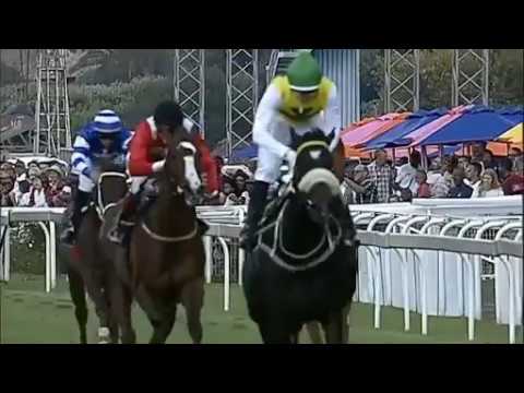 2019 Gr3 Protea Stakes
