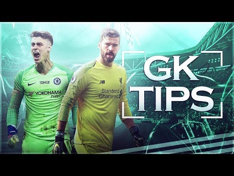 FIFA 20 Pro Clubs: Goalkeeper Tips E1 - BEST BUILD & TRAITS