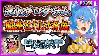 【刀剣乱舞】とうらぶ実況#1264 強化プログラム周回！脇差と打刀育成期間！一気にLvを上げていくよ！