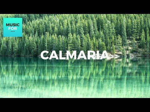 Calmaria - BELA MANHÃ com Sons de Pássaros - Relaxar e Meditar - AirDuo