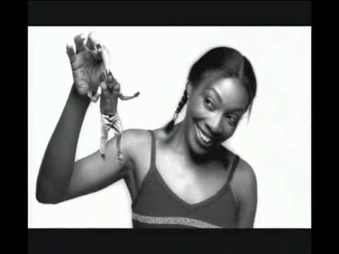 STARDUST V LOVESTATION