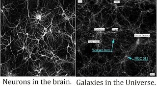 IL NOSTRO CERVELLO E' COME L'UNIVERSO?