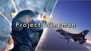 [Project Wingman] フライトスティック & ヘッドトラッキングで飛ぶ空の旅