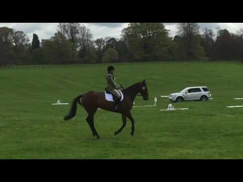 Floors BE90 97 (2016)