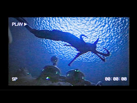 The Leviathan Incident - (Subnautica VHS)