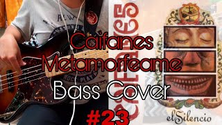 #23 metamorfeame - Bass Cover!