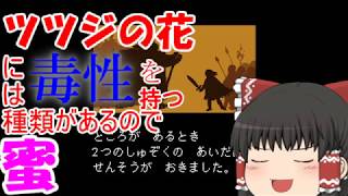 【ゆっくり実況？】地下世界に落ちた赤色黄色茶色【P編パート１】