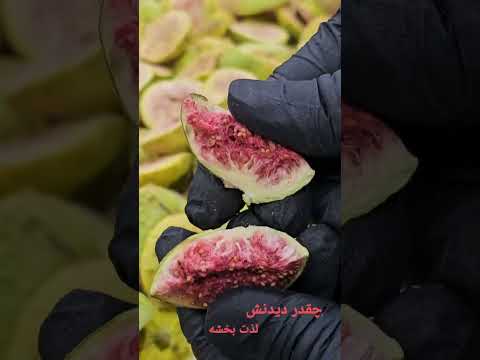Freeze dried fig, a healthy snack and true fruit… Subscribe my channel for more videos