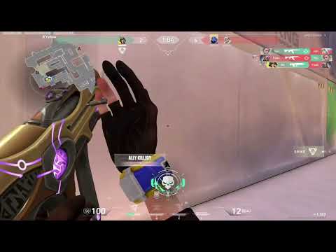 THIS MOUSE IS INSANE (mz1 wireless)