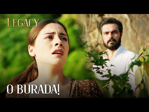 Yaman, Seher'e ipuçları veriyor | Legacy 208. Bölüm