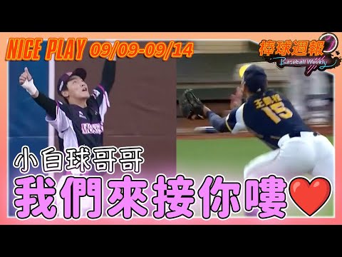 【2025棒球週報】NicePlay - 場上球員哥哥奮力接球｜場邊也有小球迷也想上本週NICE PLAY! #中華職棒 #陳晨威 #NICEPLAY