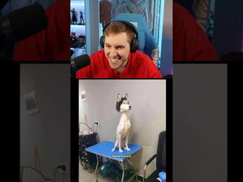 RRaenee | Hayvanların tüysüz halleri :D