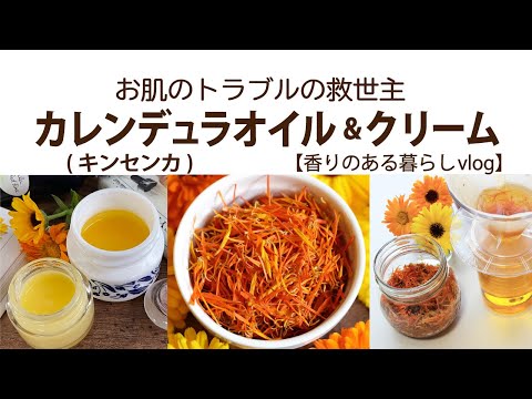 ゴールドバーム 植物