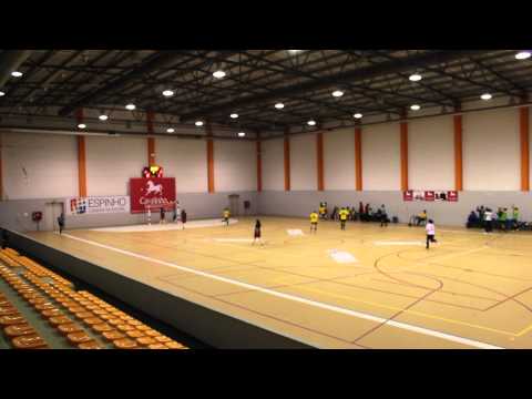 NGD/CAVALINHO x Golpilheira