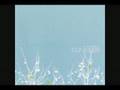 The Shins - Pressed in a Book