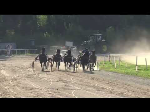 Memorial Franc Zorko 2024 - Maugli & Joze Sagaj 1.13,1 1600m