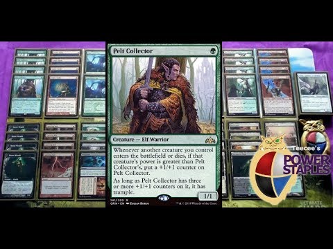 Pelt Zoo - Modern - ENGLISH - Teecee's POWER*STAPLES - Deck Feature