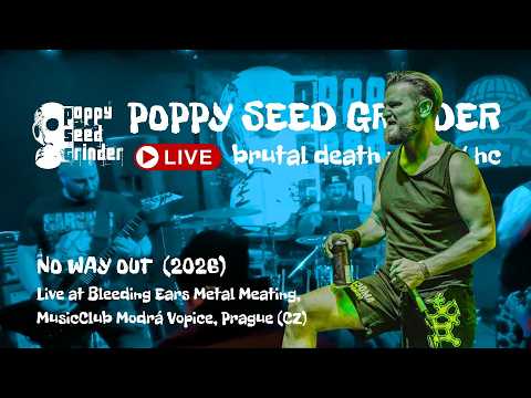 Youtube Video d3MDeRIbhSw