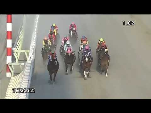 2019.01.23 TCK Jo-o Hai (JPN) - Viscaria