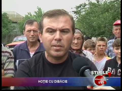 peri brosteni hotie cu dibacie