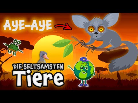 TIERE, DIE IHR NOCH NIE GESEHEN HABT 🐦 - Ein Aufklärungsfilm Für Kinder