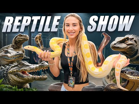 INSANE REPTILE SHOW!
