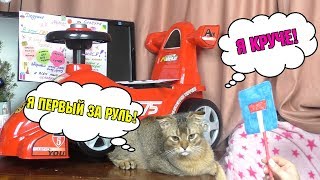 Сладун VS Чернорыж | кто лучше знает ПДД?