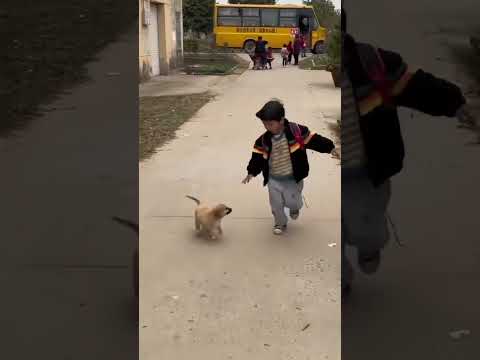 අයියා තාම අවේ නැ  දැන් එයි 🐶😊