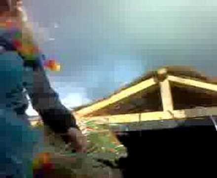 Carnaval Stompwijk The Limit