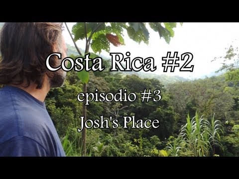 download lagu mp3 mp4 Smart Fruit Tropical Harmony, download lagu Smart Fruit Tropical Harmony gratis, unduh video klip Smart Fruit Tropical Harmony