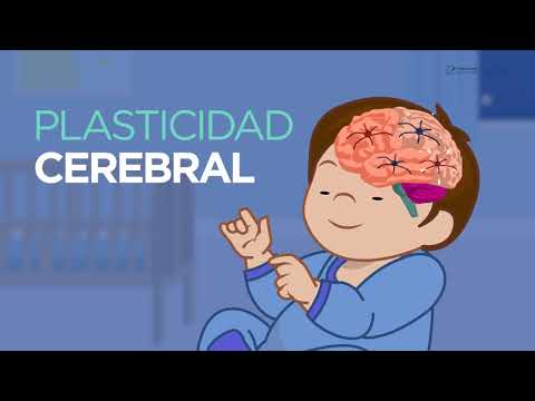 Curso de Promotor del Desarrollo Infantil 0