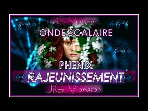 PHÉNIX REGENERATION / BEAUTÉ JEUNESSE - 2 soins Scalaires en 1 - 432 HZ + Soin Pré rééquilibrage