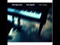 Ketil Bjørnstad Terje Rypdal - Easy Now