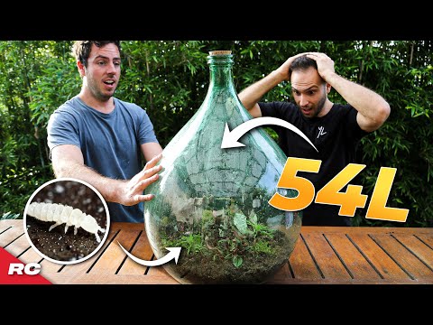 TERRARIUM - Building A 54L Closed Glass Terrarium!!! | Instructions & Materials Included!