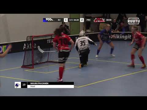 EräViikingit - SB-Pro 4.1.2020 maalikooste