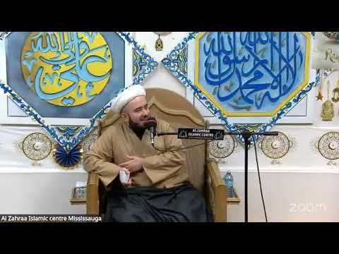 عبر من صفين أمير المؤمنين عليه السلام- الجزء ١٦-  همام ناصرالدين