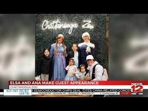 Chattanooga zoo welcomes special guests from Disney Animation's Frozen - YouTube