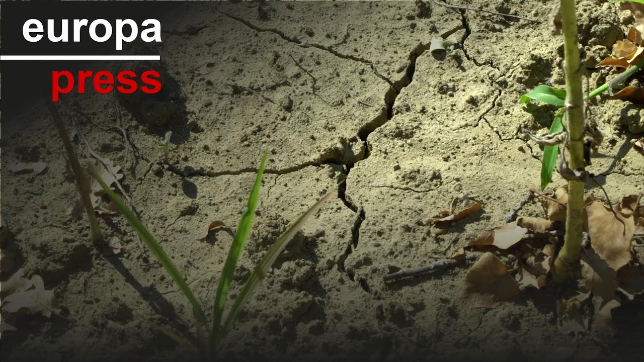 El cambio climático añadió 41 días de "calor peligroso" a 2024 según WWA