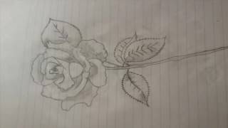 GRUPO PESADO -FANÁTICO DE TI