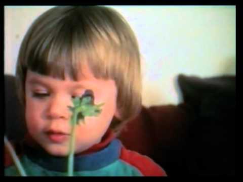 Galaxie Barbouth (1984) by Gérard Courant - Cinématon #447