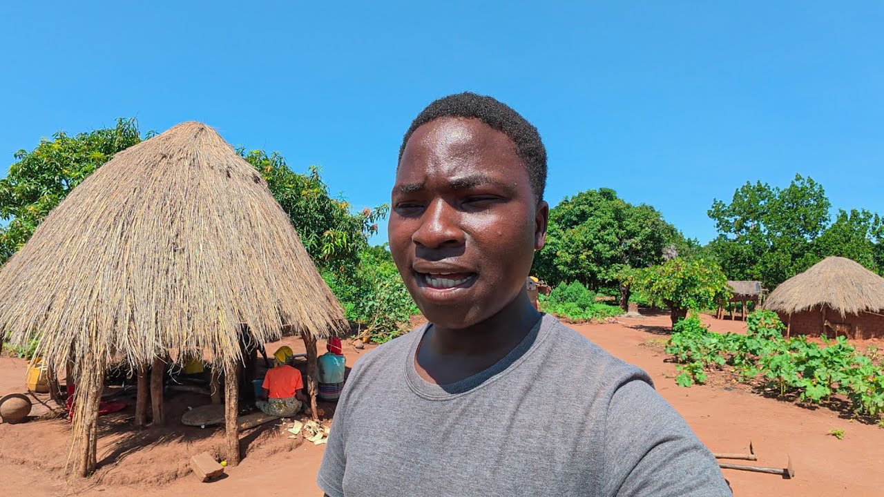 Por Que Estão Dizendo Que Estou Fazendo algo errado na Roça?