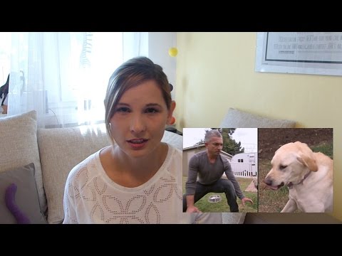 Co robić, kiedy pies warczy przy misce?