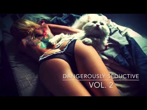 Dangerously Seductive ( Vol. 2 ) Chillout / Chillstep Mix