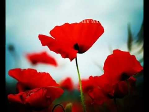 --SUSKUNUM SANA-  Adnan Yücel şiiri.