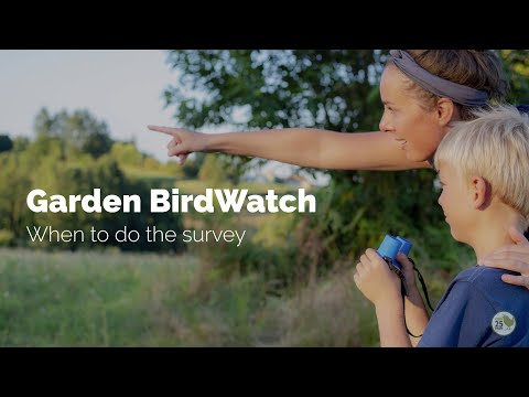 BTO Garden BirdWatch - When to do the survey