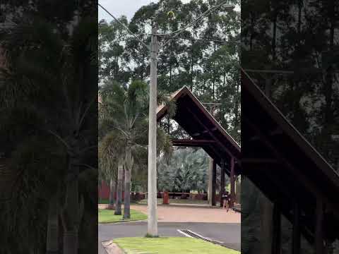 Condomínio Mais Lindo do Interior de SP 🌳 Casas lindas e Paisagismo de Tirar o Fôlego | CUSCOVILLE